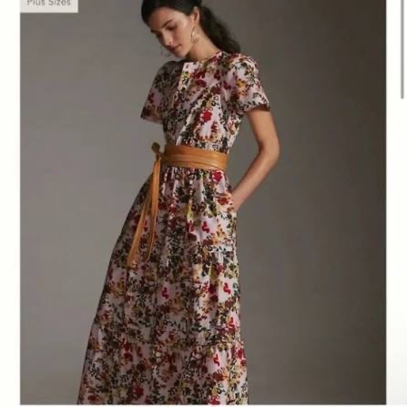 Anthropologie Somerset Maxi Dress - Picture 2 of 2